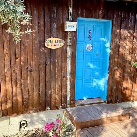 Zbb Stylish & 4* Alanya