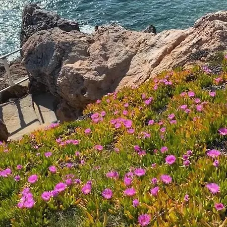 Hotel Zbb Stylish & Alanya