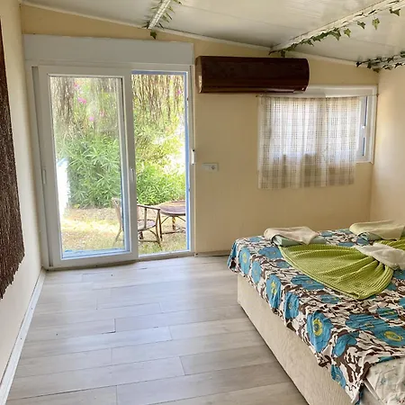 Zbb Stylish & Alanya