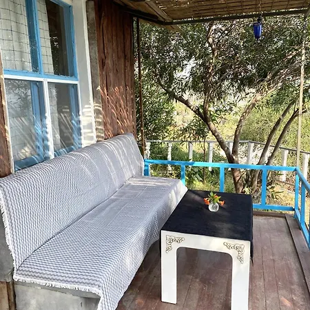 Zbb Stylish & Alanya