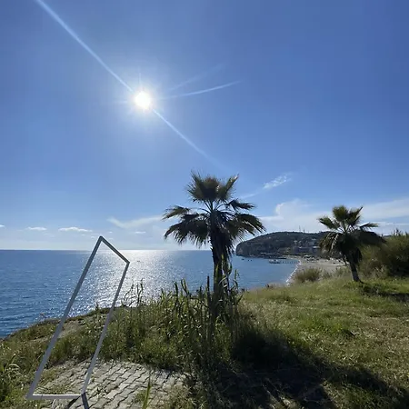 Hotel Zbb Stylish & Alanya